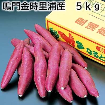 鳴門金時里浦産 5ｋｇ
