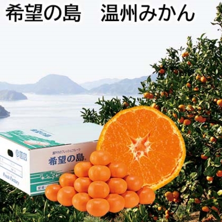 希望の島 温州みかん 3kg（ML：23～28個）