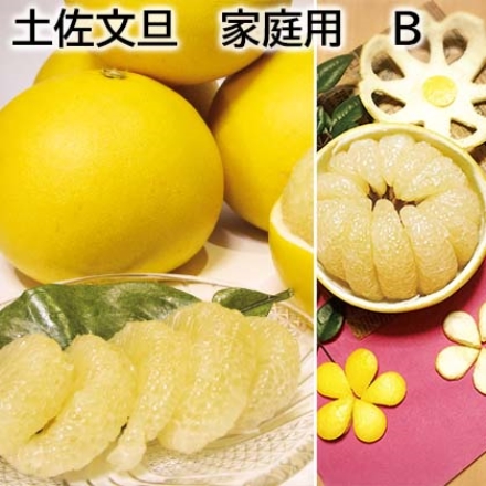土佐文旦 家庭用 Ｂ 10kg（L～4L：14～24個）