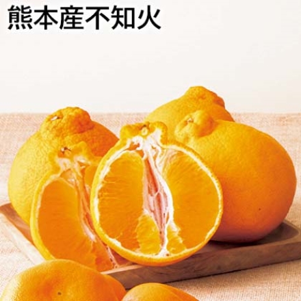 熊本産不知火 2.5kg(7～12個)