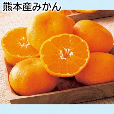 熊本産みかん 4.5kg(S～2L混：30～50個)