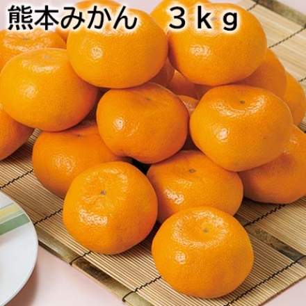 熊本みかん 3ｋｇ