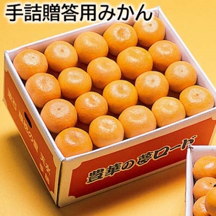 手詰贈答用みかん 6.7kg(M～2L：40～60個)
