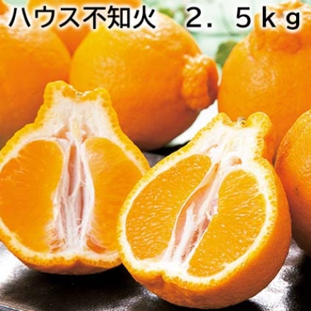 ハウス不知火 2.5ｋｇ