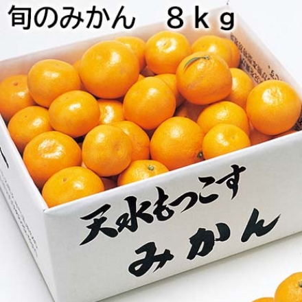 旬のみかん 8ｋｇ