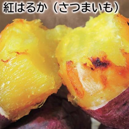 紅はるか（さつまいも） 5kg