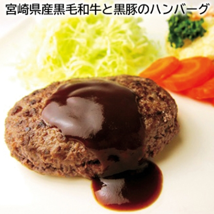 宮崎県産黒毛和牛と黒豚のハンバーグ ハンバーグ110g・ハンバーグソース15g 各5