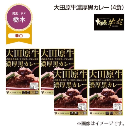 大田原牛濃厚黒カレー Ｂ（4食）