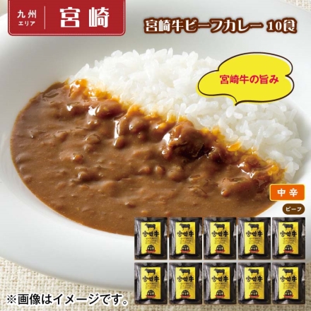 宮崎牛ビーフカレー 10食