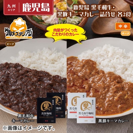 鹿児島 黒毛和牛・黒豚キーマカレー詰合せ 各2食