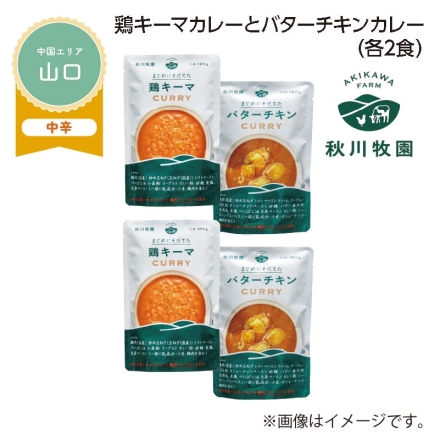 鶏キーマカレーとバターチキンカレー Ｂ（各2食）
