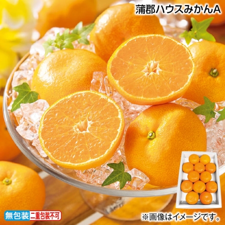 お中元熨斗付き 蒲郡ハウスみかんＡ 1.2kg（M：12個） 御中元 夏ギフト ギフト 贈答