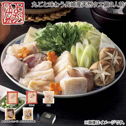 お歳暮のし付き 丸ごと味わう長崎産天然クエ鍋3人前