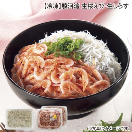 冷凍 駿河湾 生桜えび・生しらす 生桜えび50g×2、生しらす90g 送料込み
