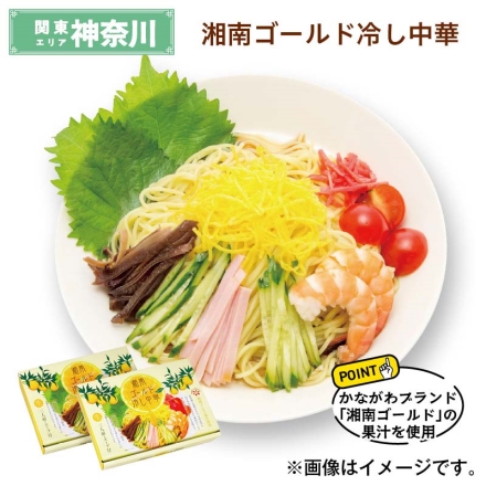 湘南ゴールド冷し中華 （生めん110g・スープ40g 各3）×2 送料込み