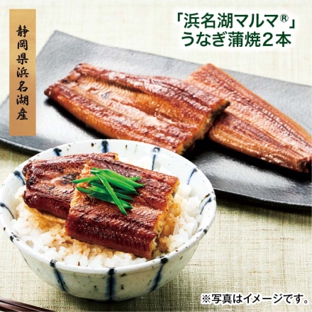 「 浜名湖マルマ（Ｒ） 」うなぎ蒲焼2本 こどもの日 送料込み