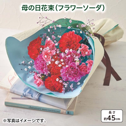 母の日花束（フラワーソーダ） サイズ（約）＝長さ45cm 素材＝花材／カーネーション（濃ピンク系4本・紫系3本）、スプレーカーネーション（ピンク系3本）、染めカスミソウ 母の日 送料込み