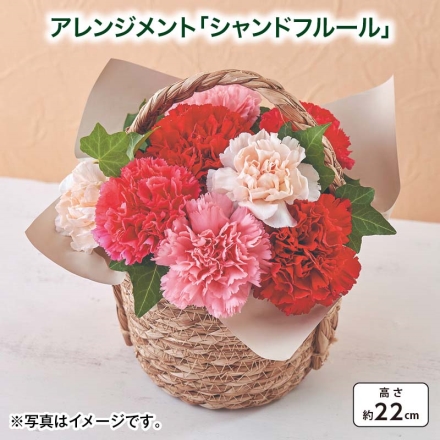 アレンジメント「 シャンドフルール 」 サイズ（約）＝幅20×奥行18×高さ22cm 素材＝花材／カーネーション（ピンク系4本、赤系・オレンジ系 各2本）、グリーン 母の日 送料込み