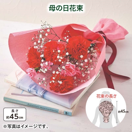 母の日花束 サイズ（約）＝長さ45cm 素材＝花材／カーネーション（濃ピンク系4本）、スプレーカーネーション（ピンク系2本）、カスミソウ 母の日 送料込み