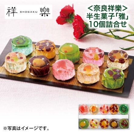 ＜奈良祥樂＞半生菓子「 雅 」10個詰合せ 母の日 送料込み