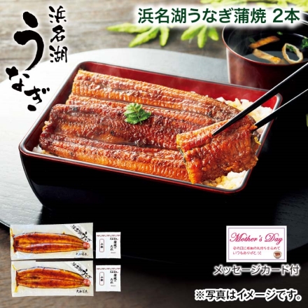 遅れてごめんね母の日 浜名湖うなぎ蒲焼 2本