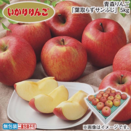 お歳暮のし付き 青森りんご「 葉取らずサンふじ 」5ｋｇ