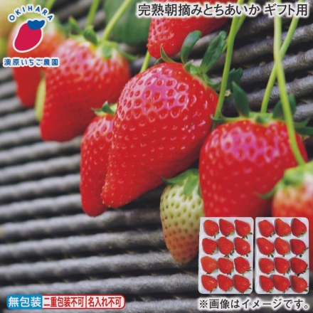 お歳暮のし付き 完熟朝摘みとちあいか ギフト用 400g×2