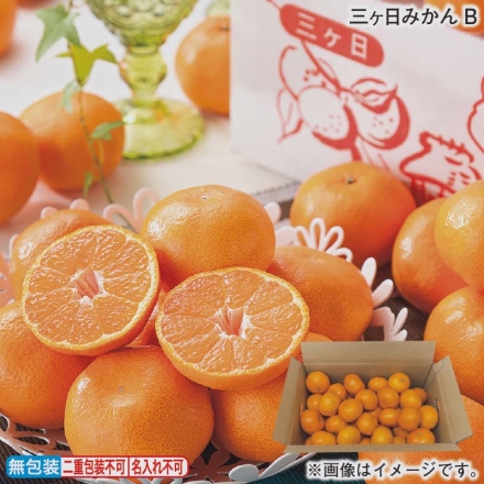 お歳暮のし付き 三ヶ日みかんＢ 4.1kg（M又はL：25～45個）