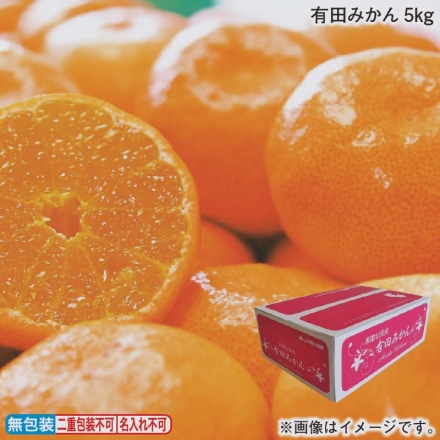 お歳暮のし付き 有田みかん5ｋｇ