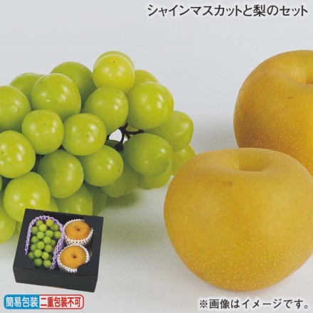 お歳暮のし付き シャインマスカットと梨のセット シャインマスカット550g（1房）、梨2個