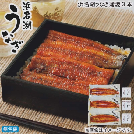 お歳暮のし付き 浜名湖うなぎ蒲焼3本