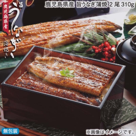 お歳暮のし付き 鹿児島県産 旨うなぎ蒲焼 2尾310ｇ