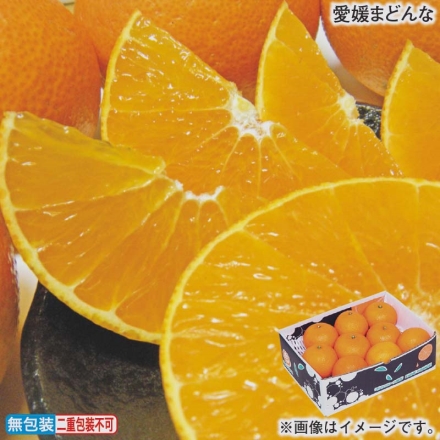 お歳暮のし付き 愛媛まどんな 2.5kg（L～2L）