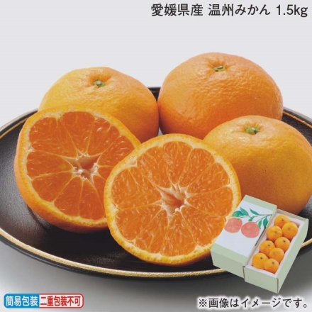 お歳暮のし付き 愛媛県産 温州みかん 1.5ｋｇ
