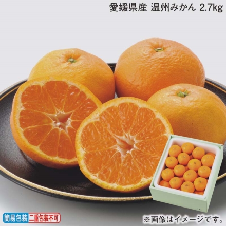 お歳暮のし付き 愛媛県産 温州みかん 2.7ｋｇ