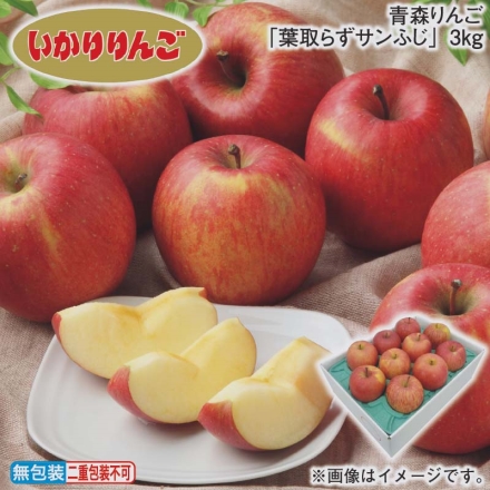 お歳暮のし付き 青森りんご「 葉取らずサンふじ 」3ｋｇ