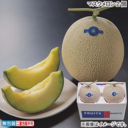 お歳暮のし付き マスクメロン2個