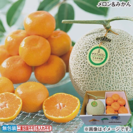 お歳暮のし付き メロン＆みかん マスクメロン1.2kg、三ヶ日みかん1.4kg（L：12個）
