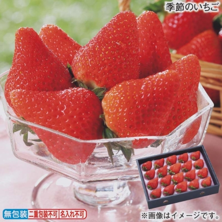 お歳暮のし付き 季節のいちご 400g（ゆめのか又は恋みのり：20～24個）