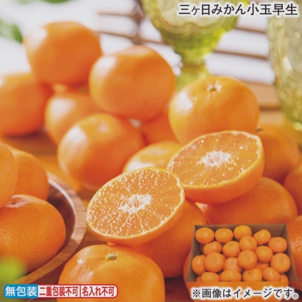三ヶ日みかん小玉早生 3kg（S：35～50個）