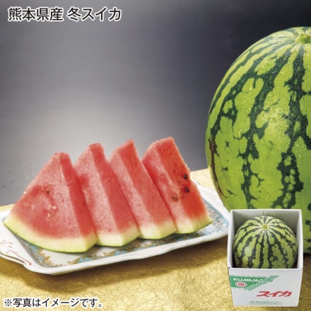 熊本県産 冬スイカ 3.4kg