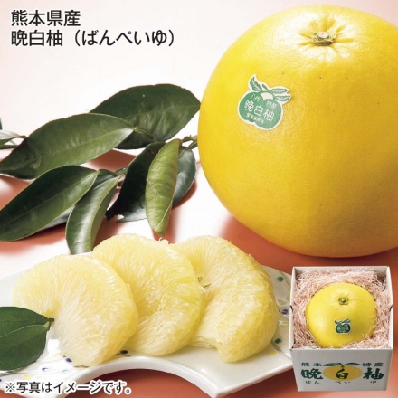 熊本県産 晩白柚 1.5kg