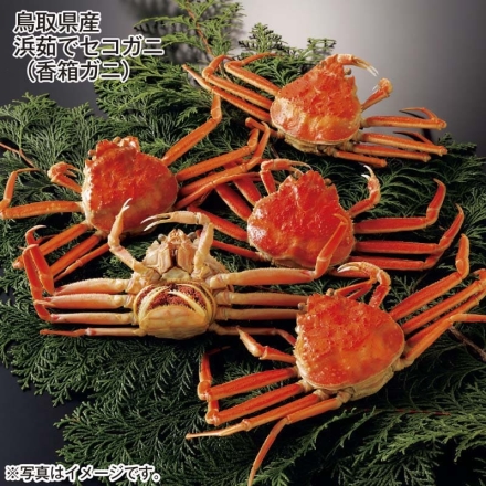 鳥取県産 浜茹でセコガニ（香箱ガニ） 700g（5枚）