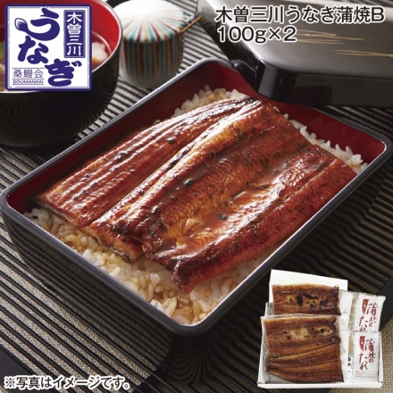 木曽三川うなぎ蒲焼Ｂ 100ｇ×2