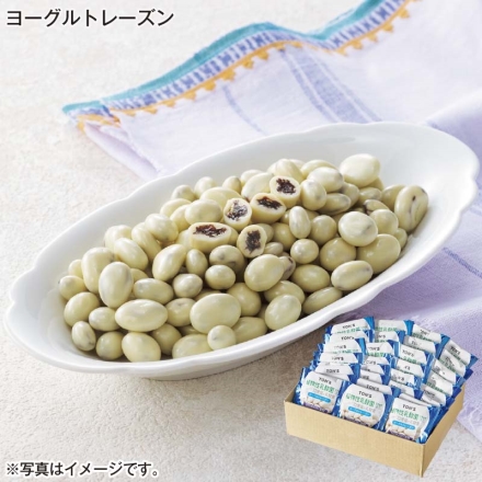 ヨーグルトレーズン 9g×30