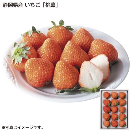 静岡県産 いちご「 桃薫 」 300g（9～15個）