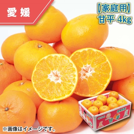 家庭用 甘平4ｋｇ