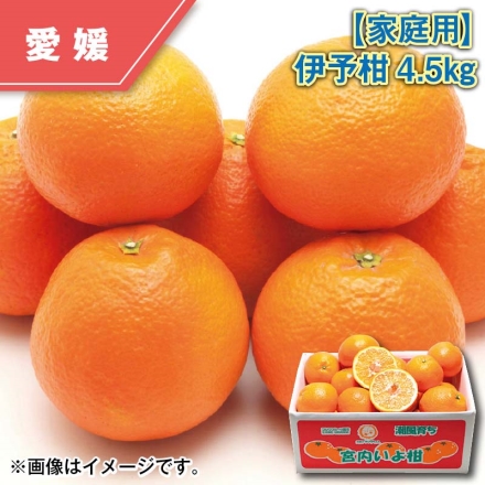 家庭用 伊予柑4.5ｋｇ