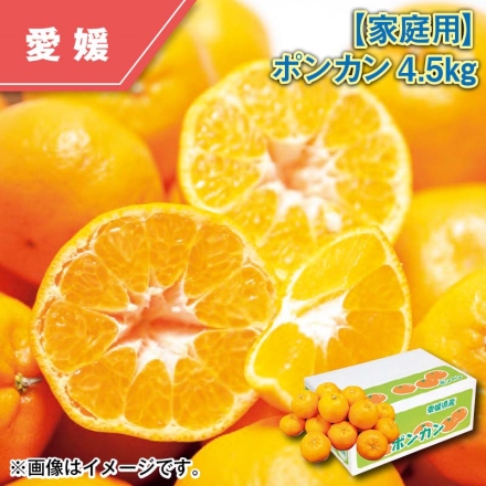 家庭用 ポンカン4.5ｋｇ