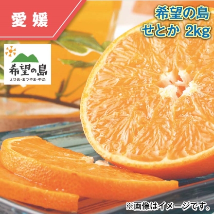 希望の島 せとか 2ｋｇ